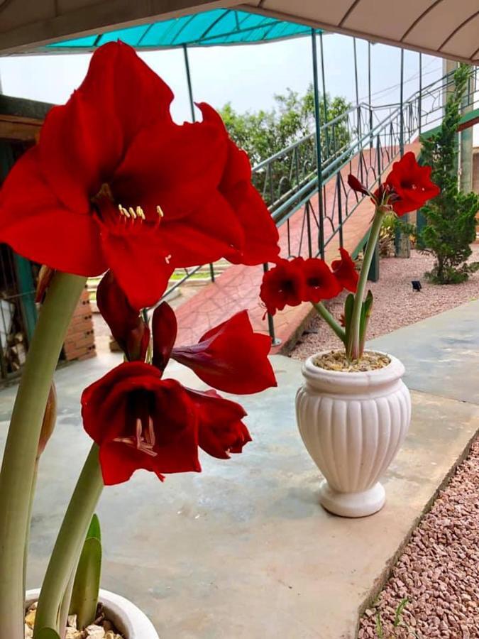 Hotel Blumenpark Rio Negro  Εξωτερικό φωτογραφία